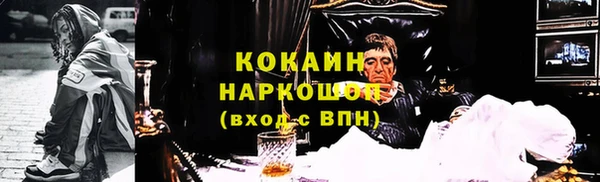 гашик Алексеевка