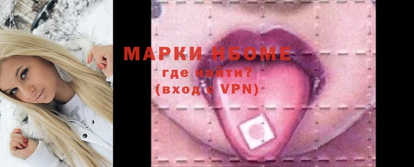 гашик Алексеевка