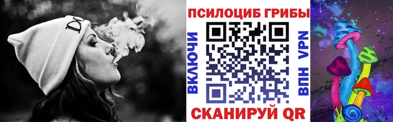 купить наркотик  Полевской  Псилоцибиновые грибы Magic Shrooms 